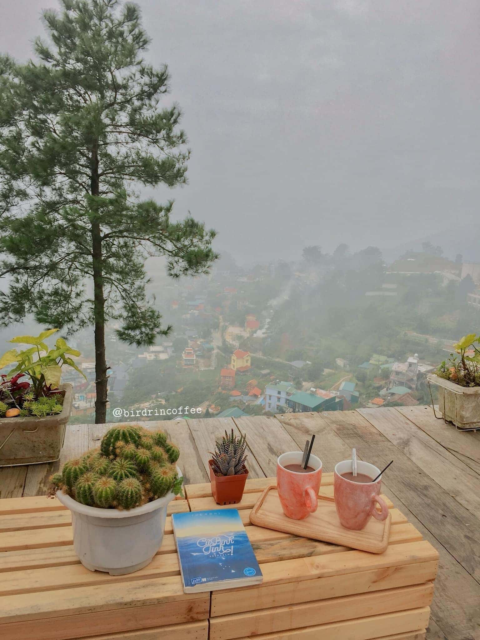 tiem ca phe co la tam dao vinh phuc