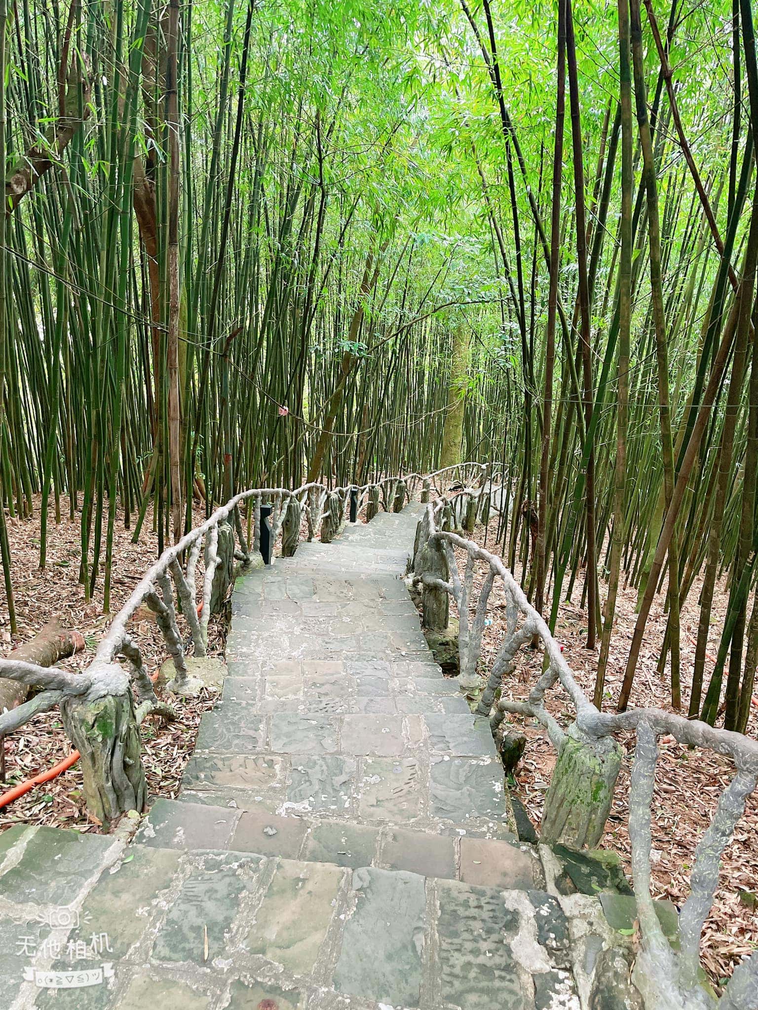 den ba chua thuong ngan tam dao vinh phuc 