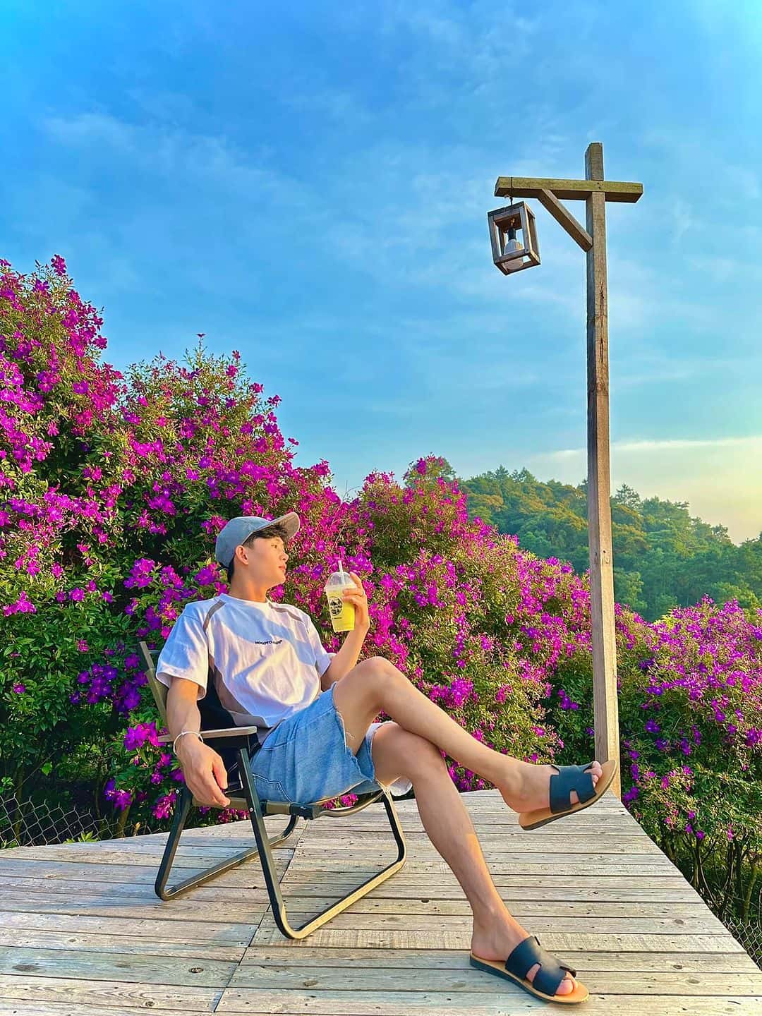 lala land tam dao vinh phuc