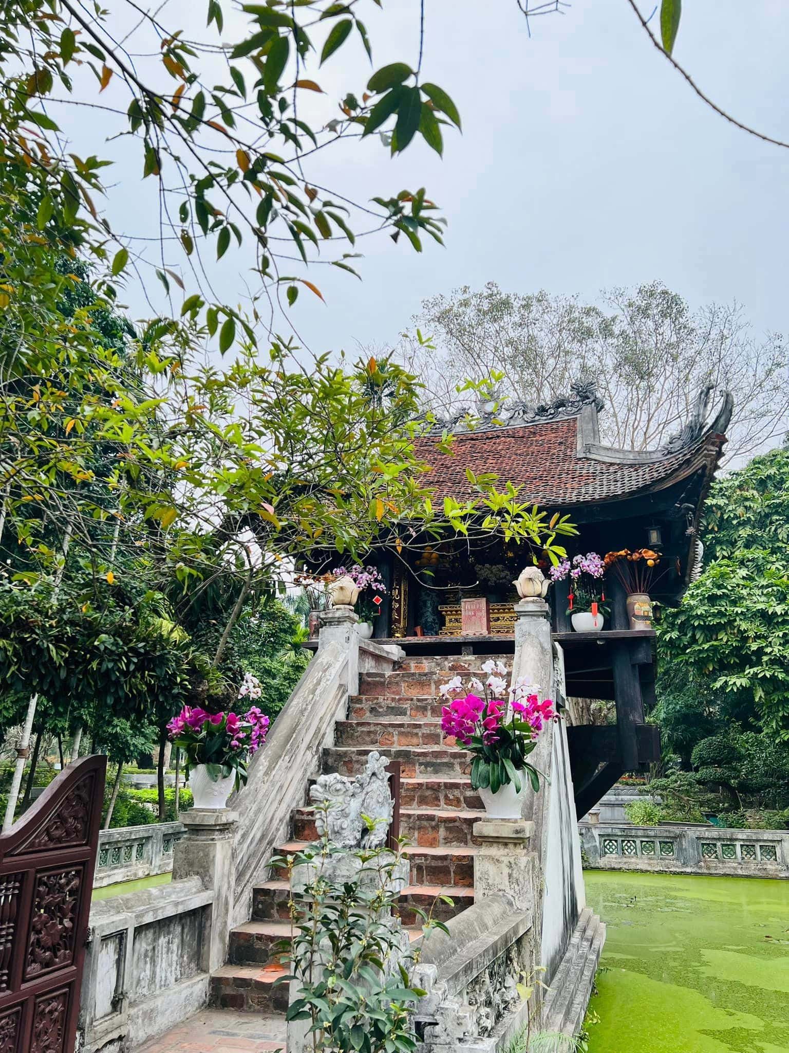 chua mot cot hanoi