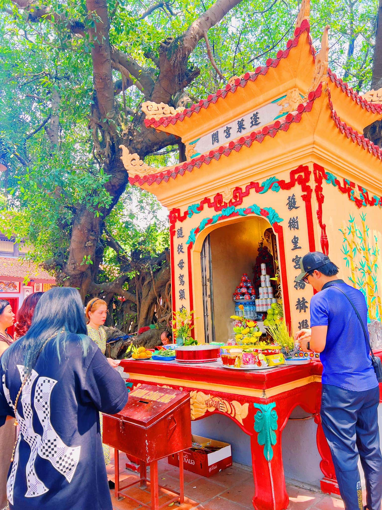 justfly phu tay ho hanoi