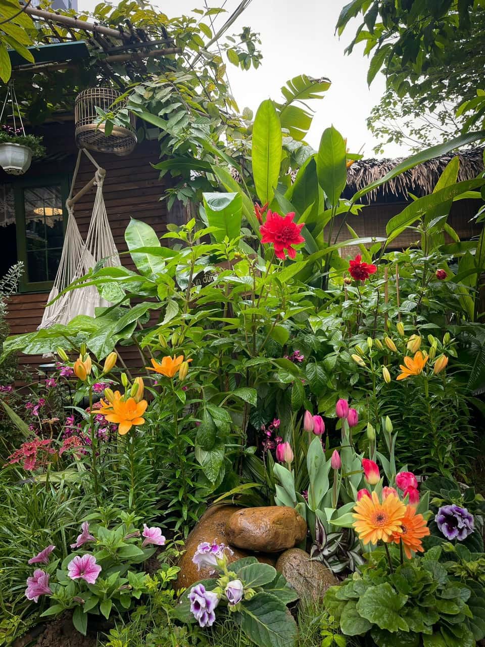 Woodhouse - Lii's Homestay, Tây Hồ — photo 35