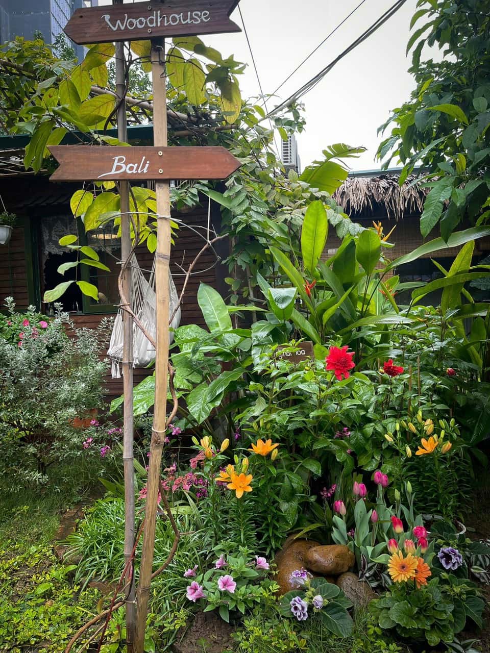Woodhouse - Lii's Homestay, Tây Hồ — photo 33