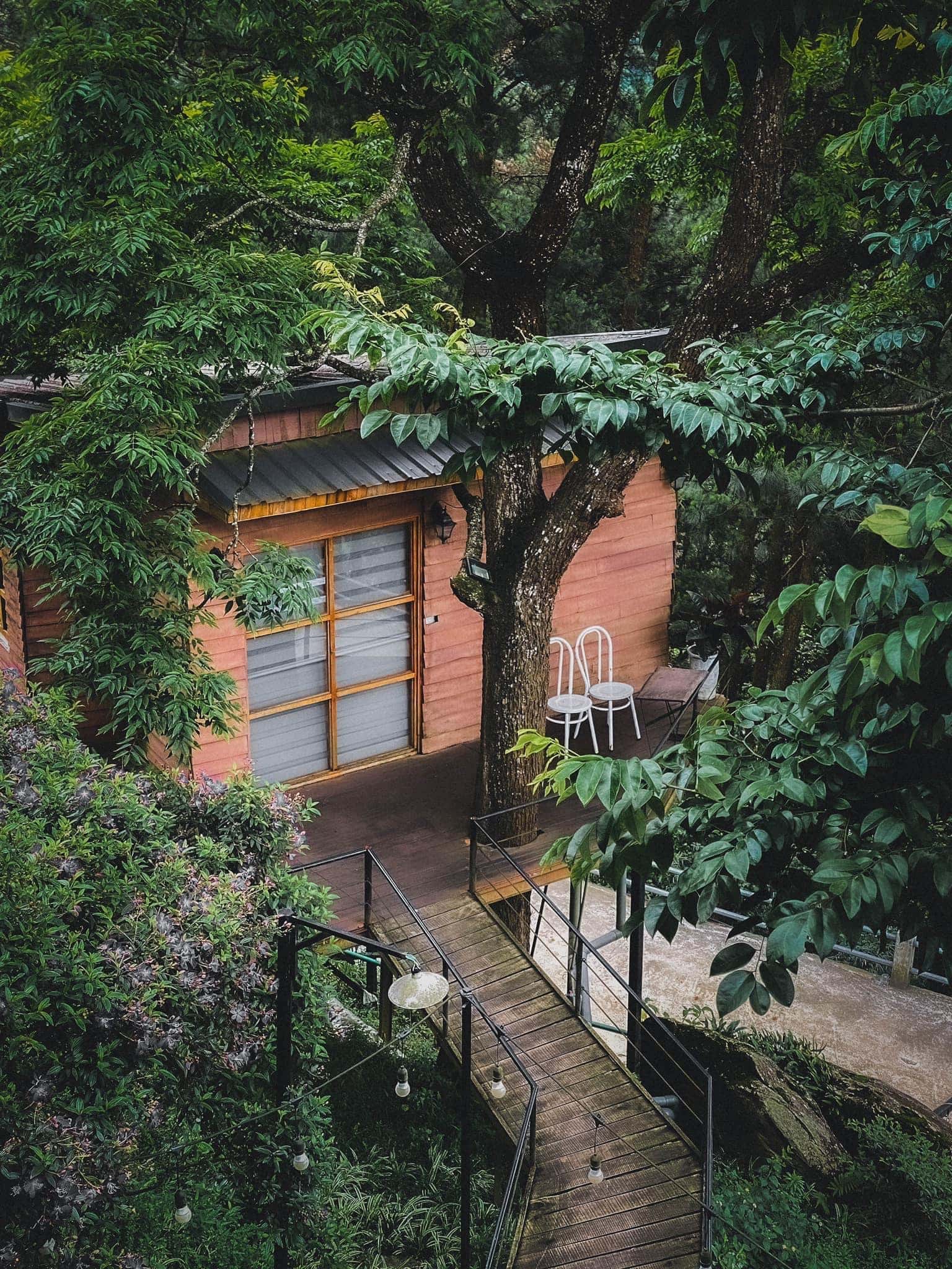 Tree House - Chillout Village, Tam Đảo — 照片 7