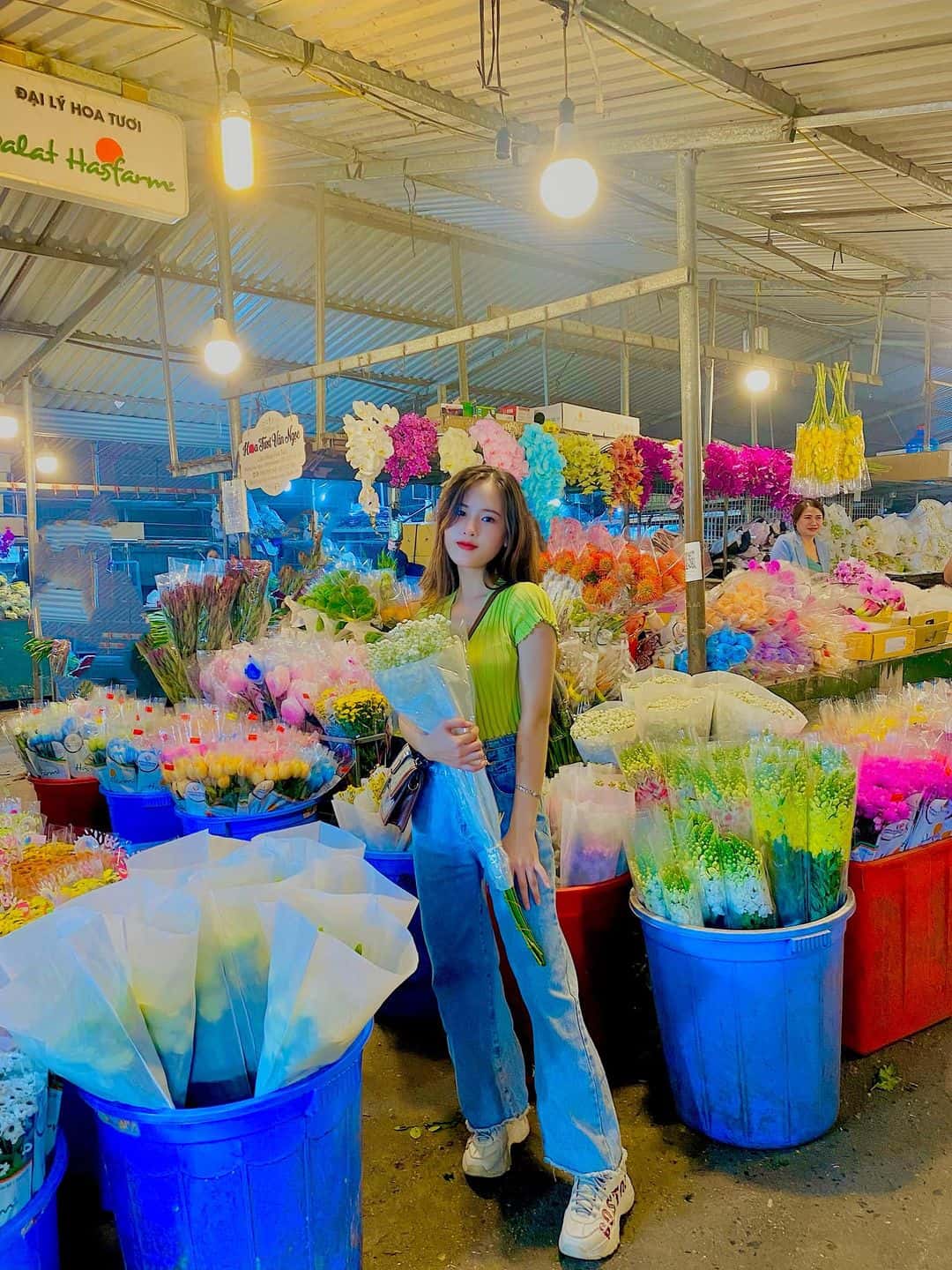 justfly cho hoa quang ba hanoi