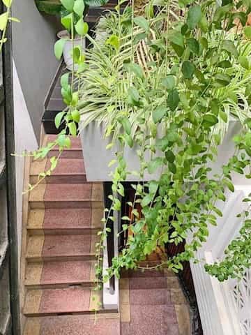 ChuoiHome - Brown Đinh Liệt, Hoàn Kiếm — photo 21