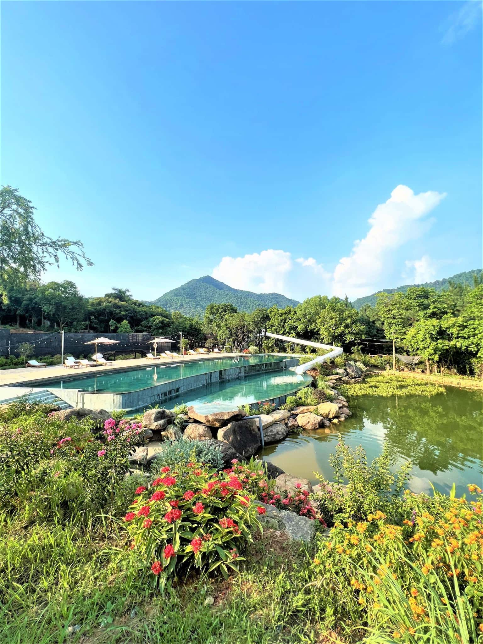 Large pool (resort-wide)