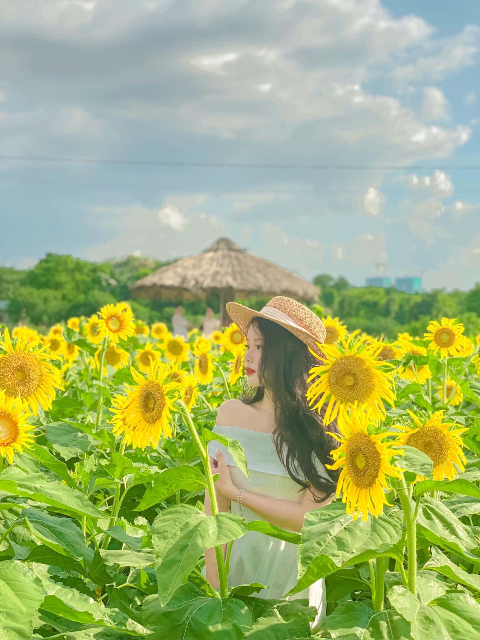 justfly bai da song hong hanoi