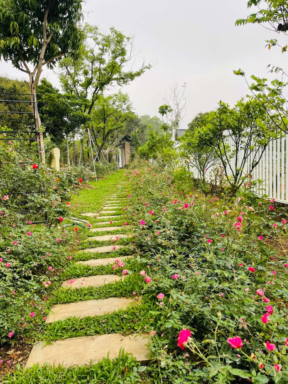 Bin Garden Villa tại Minh Phú, Sóc Sơn — ảnh 14