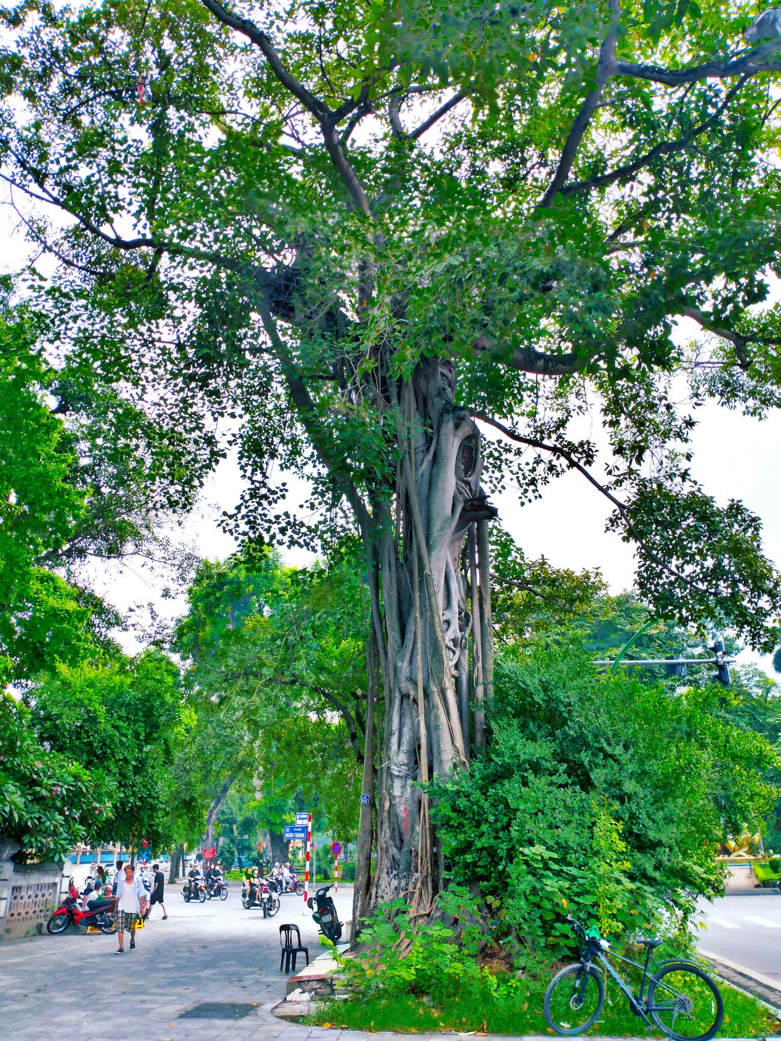 justfly den quan thanh hanoi