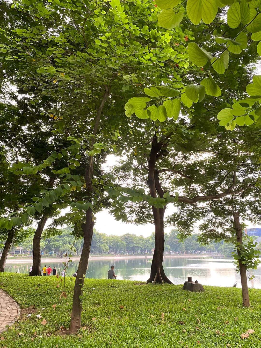 justfly ho thien quang hanoi