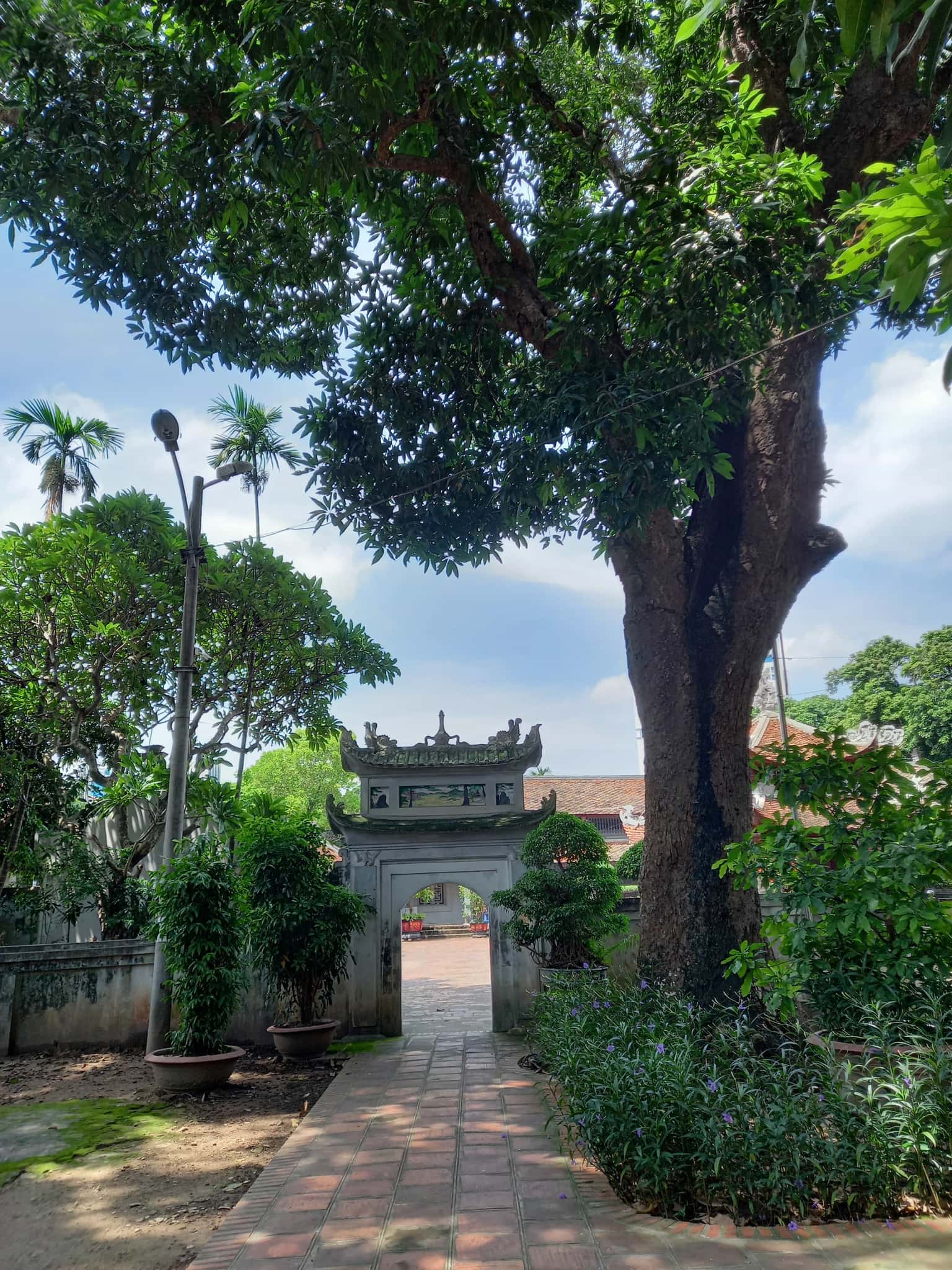 justfly chua lang hanoi