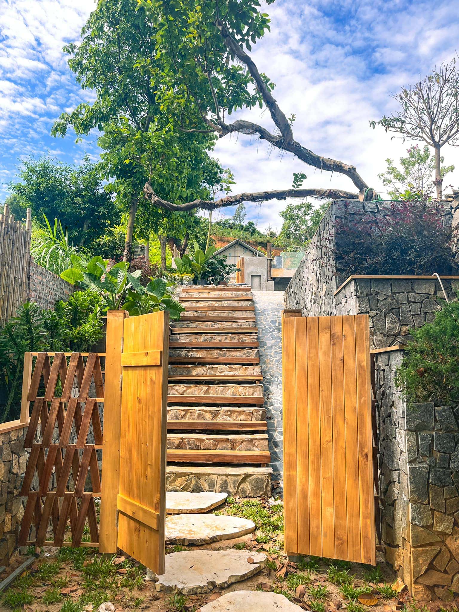 Casa Mita 1 tại Yên Bài, Ba Vì — ảnh 4
