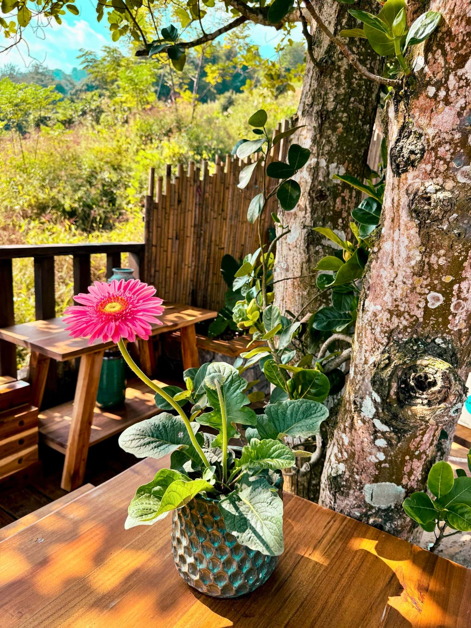 Casa Mita 1 tại Yên Bài, Ba Vì — ảnh 9
