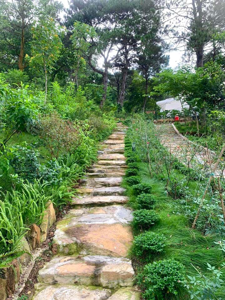May House (May Retreat) at Đồng Đò Lake, Sóc Sơn — photo 28