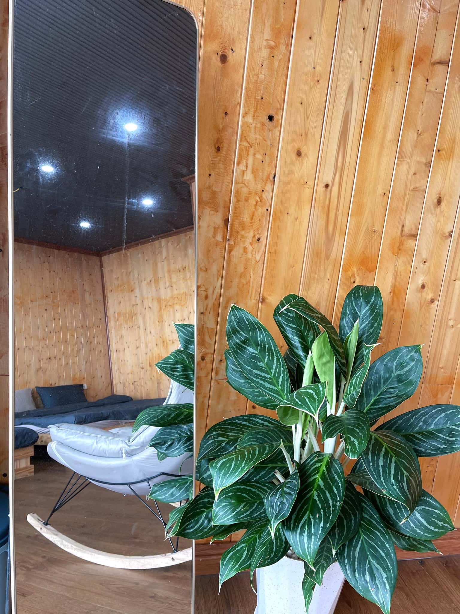 Gió Lớn 1,2（Eo Gió Homestay），Tam Đảo — 照片 15