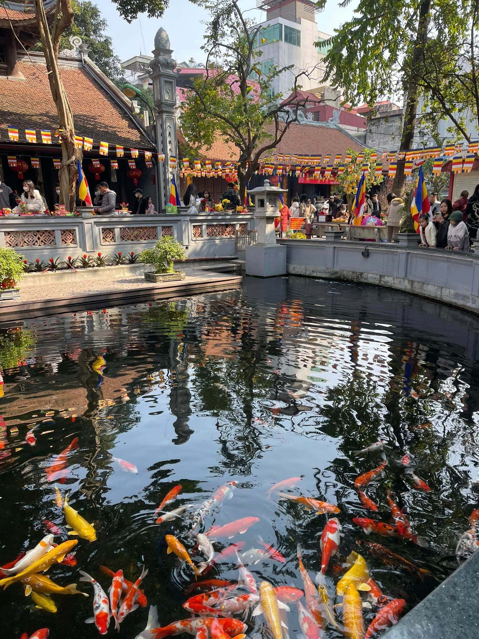 justfly chua ha hanoi