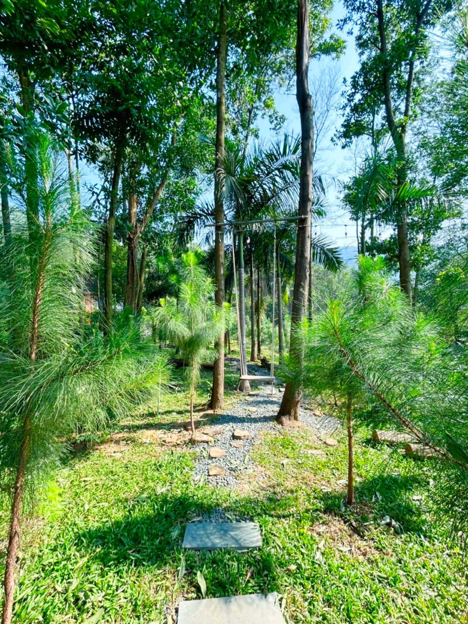 Oliu Homestay (Lee Garden) tại Lâm Trường, Sóc Sơn — ảnh 6