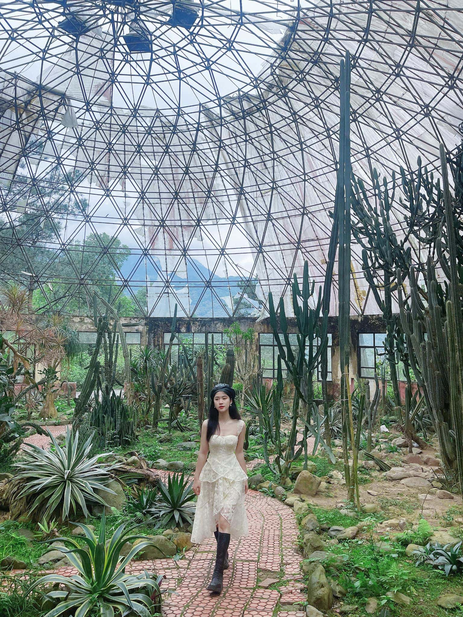 justfly vuon quoc gia ba vi hanoi