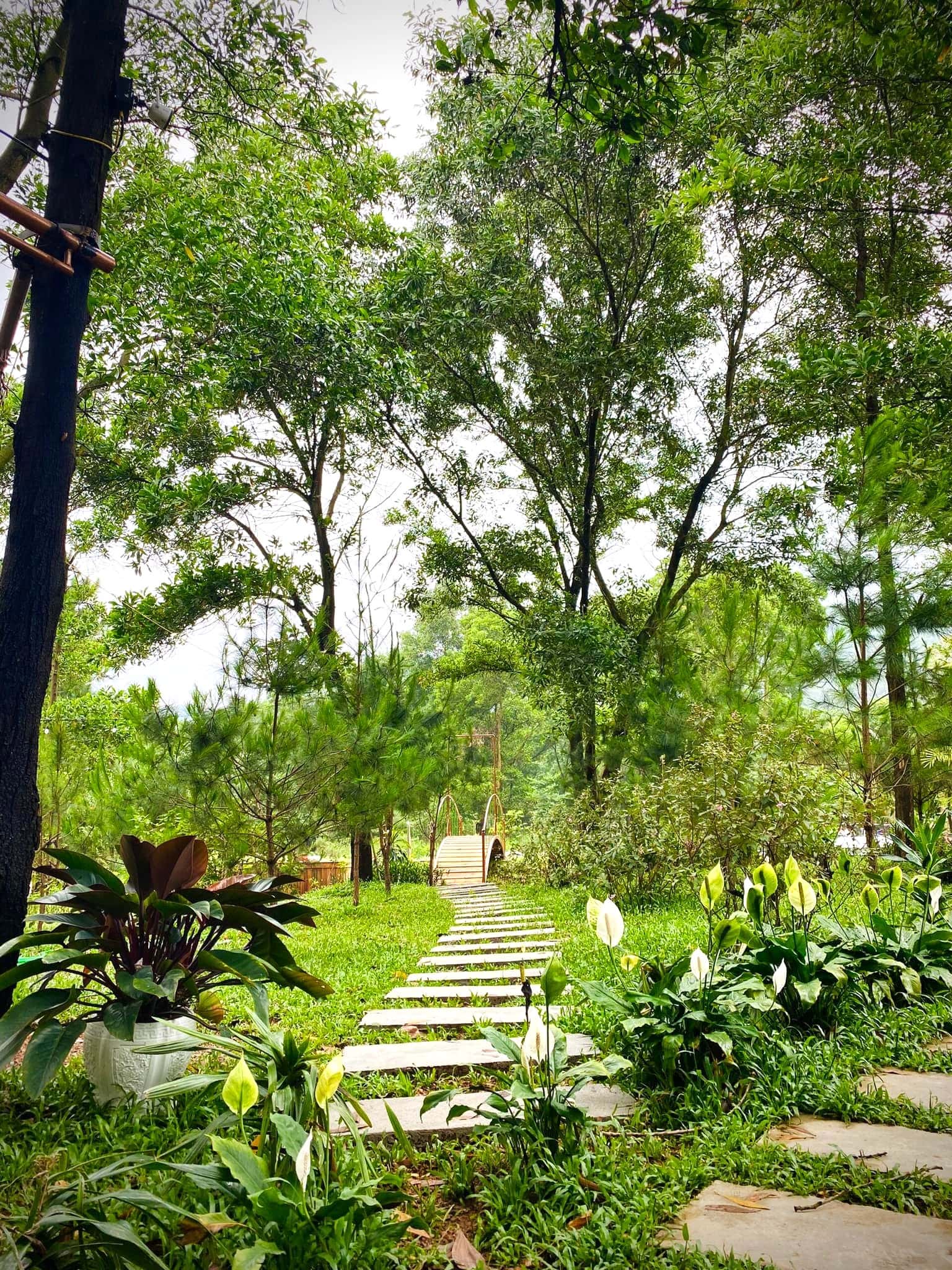 Bali Villa (Moon Villa) in Lâm Trường, Sóc Sơn — photo 9