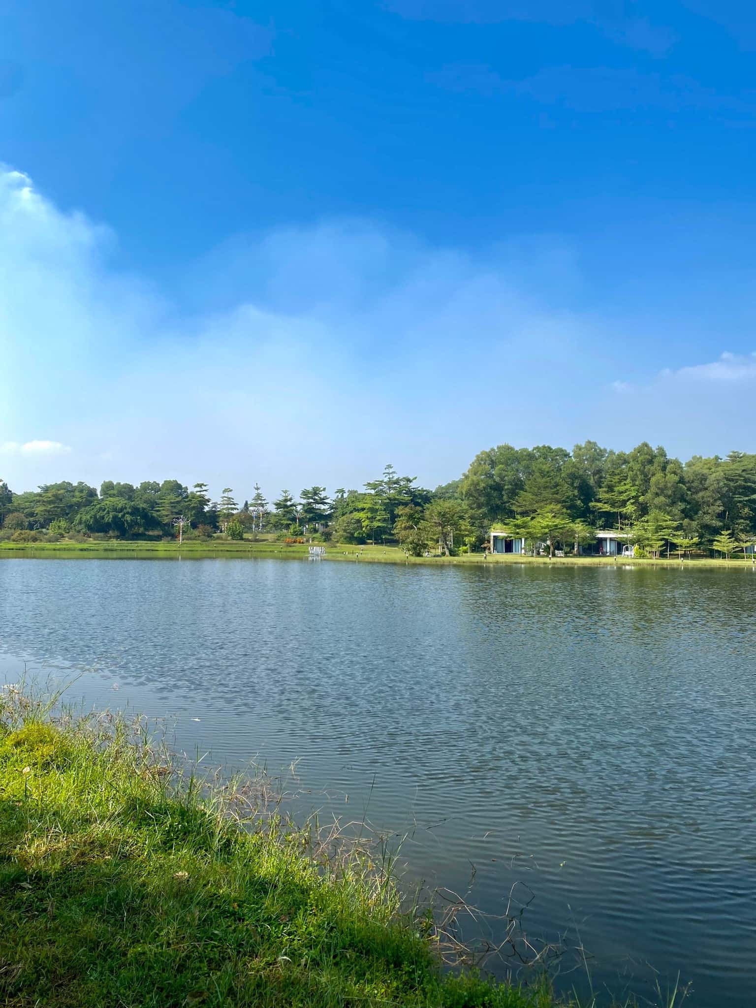Villa R310, Flamingo Đại Lải — photo 7