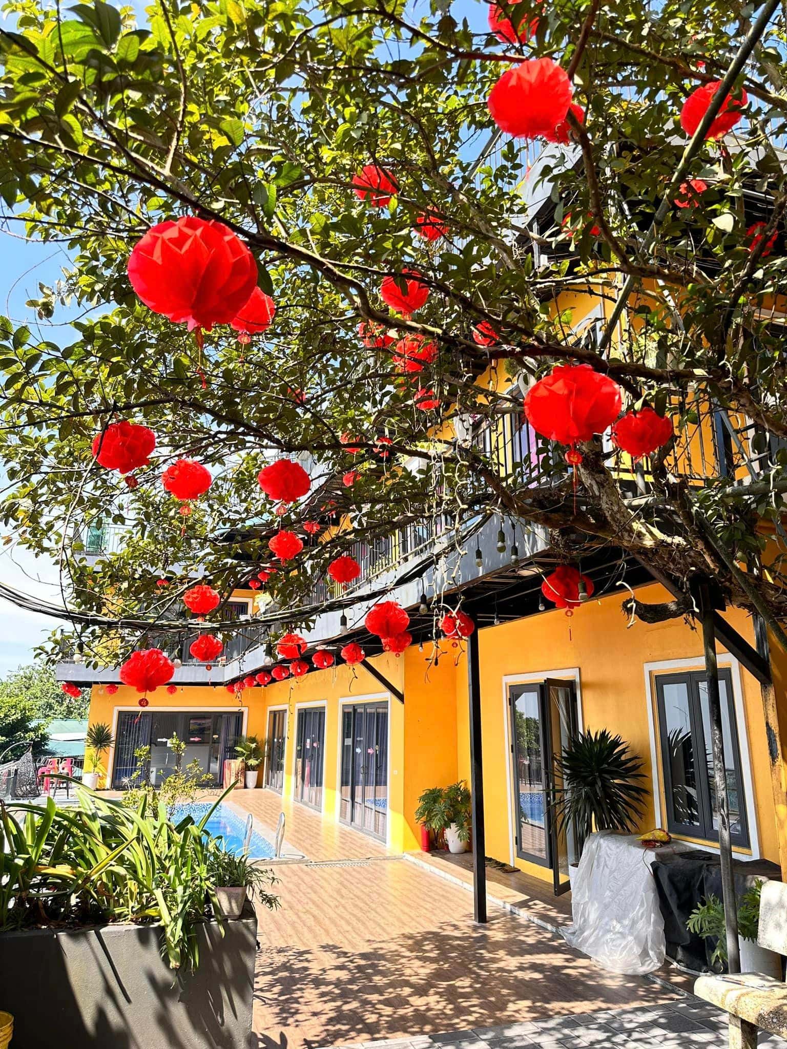 Phòng Gác Lửng Tầng 1 (Nhà Kính - Sunset Villa Tam Đảo) — ảnh 14