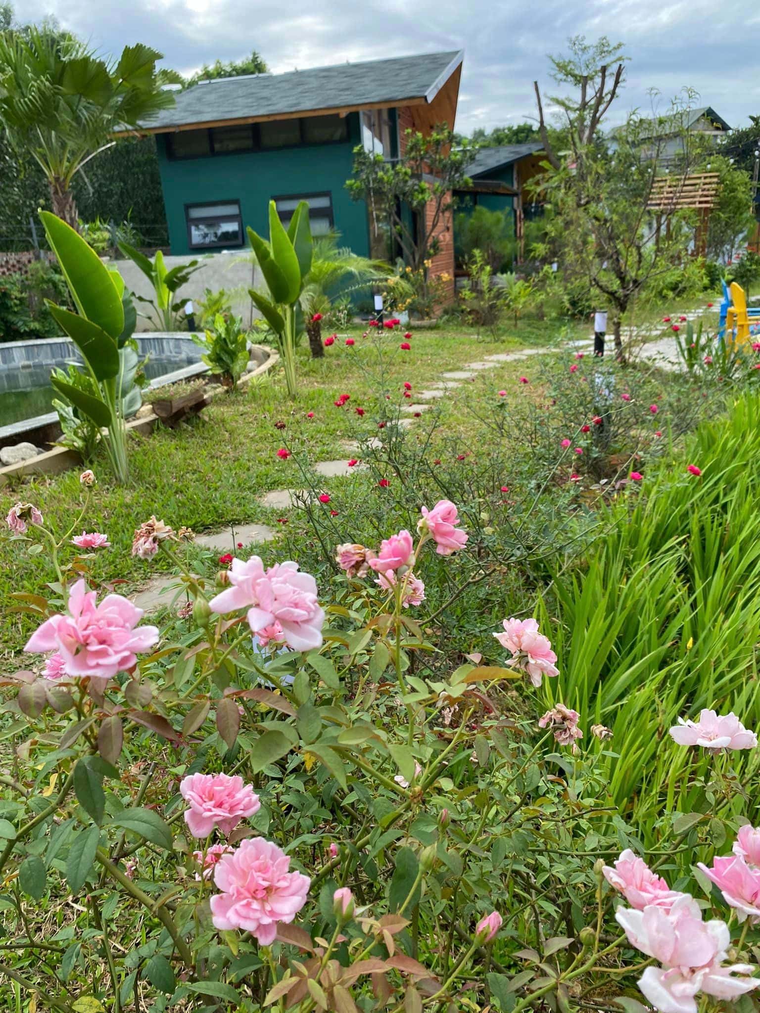 Nhà Thông Xanh（Anna Little Garden），位于Sóc Sơn的Lâm Trường — 照片 28