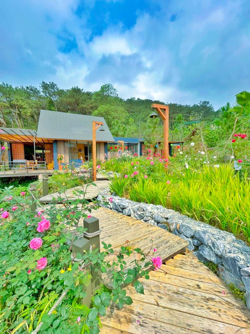 Carp House (Anna Little Garden) in Lâm Trường, Sóc Sơn — photo 13