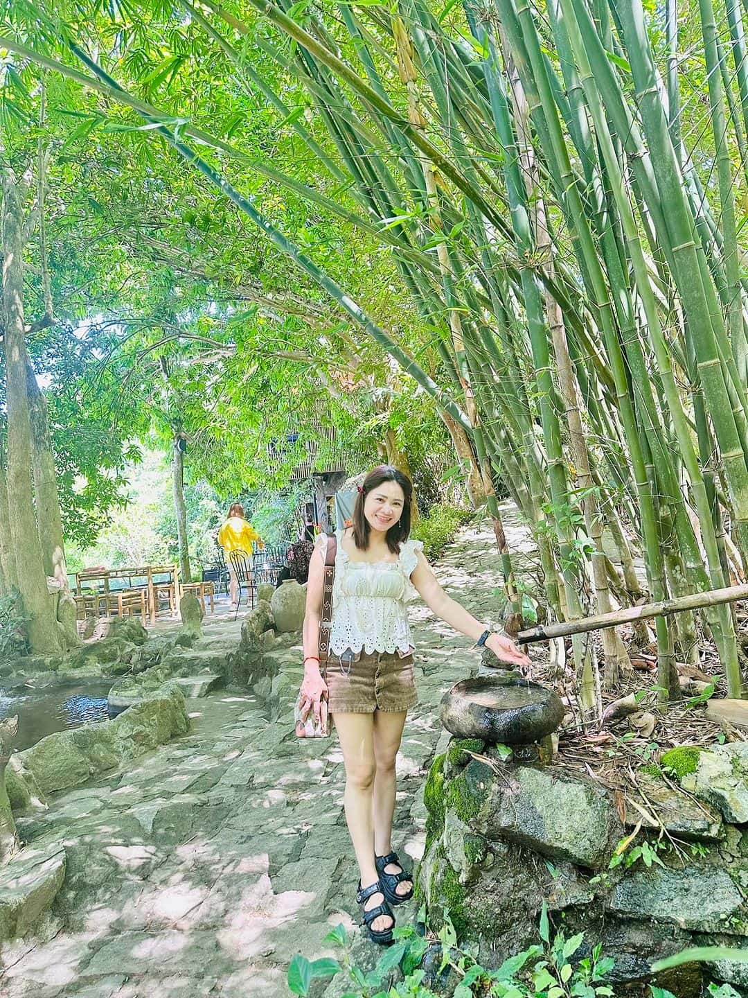 justfly son tra tinh vien da nang