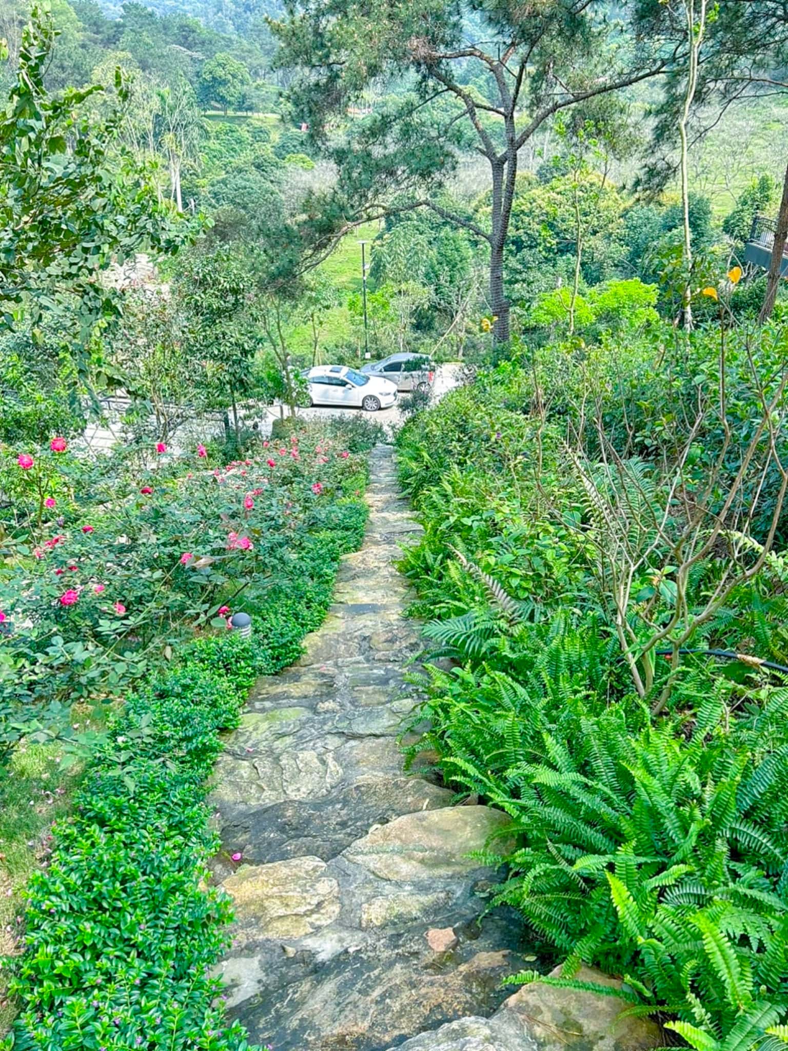 Pine 1 (May Retreat)，位于Sóc Sơn的Đồng Đò湖 — 照片 17