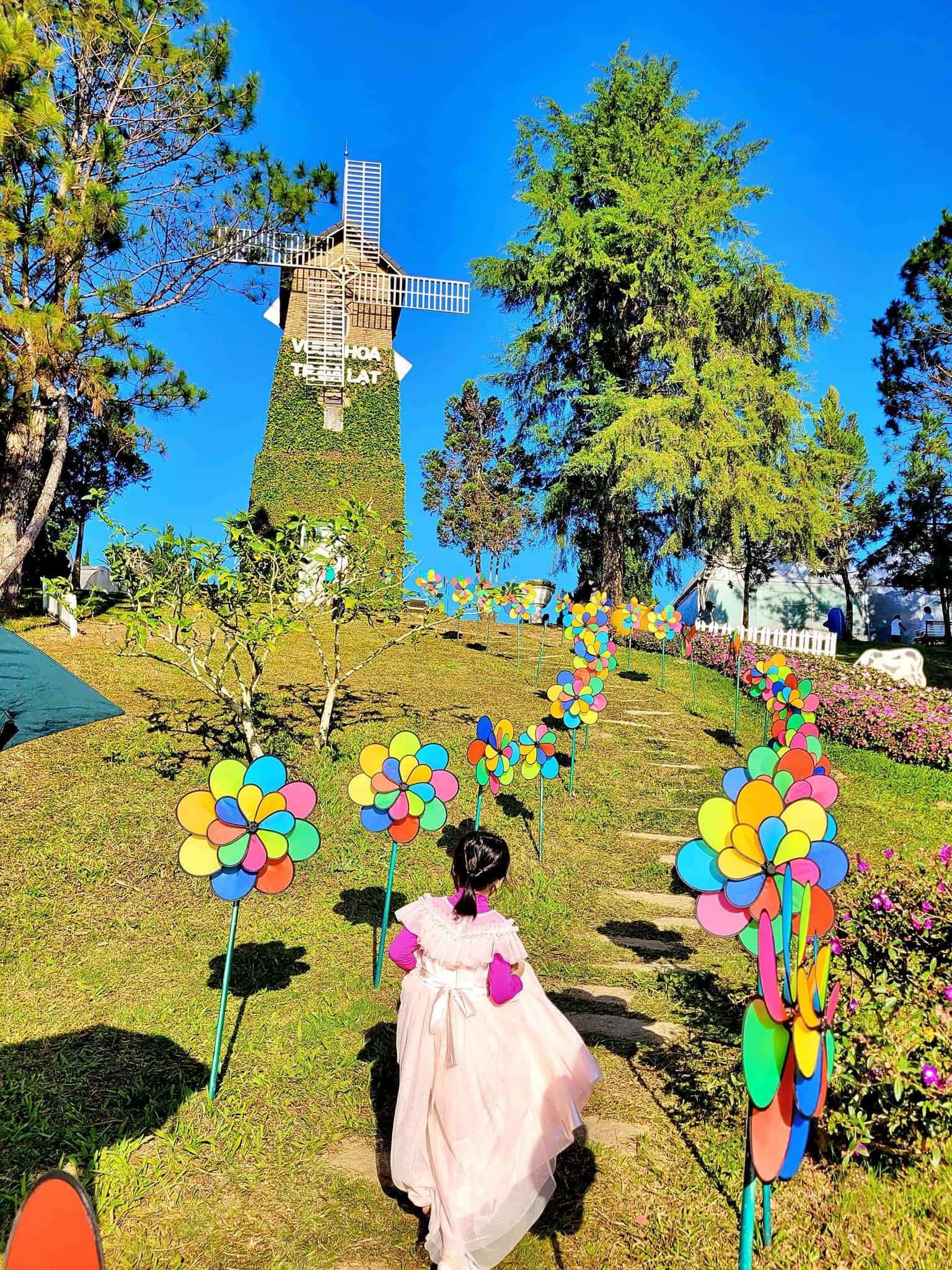 justfly vuon hoa thanh pho da lat