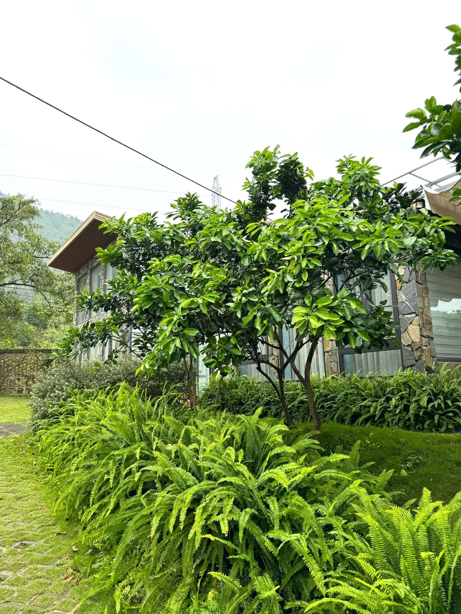 Moon Lake House Đồng Đò, Sóc Sơn — ảnh 11