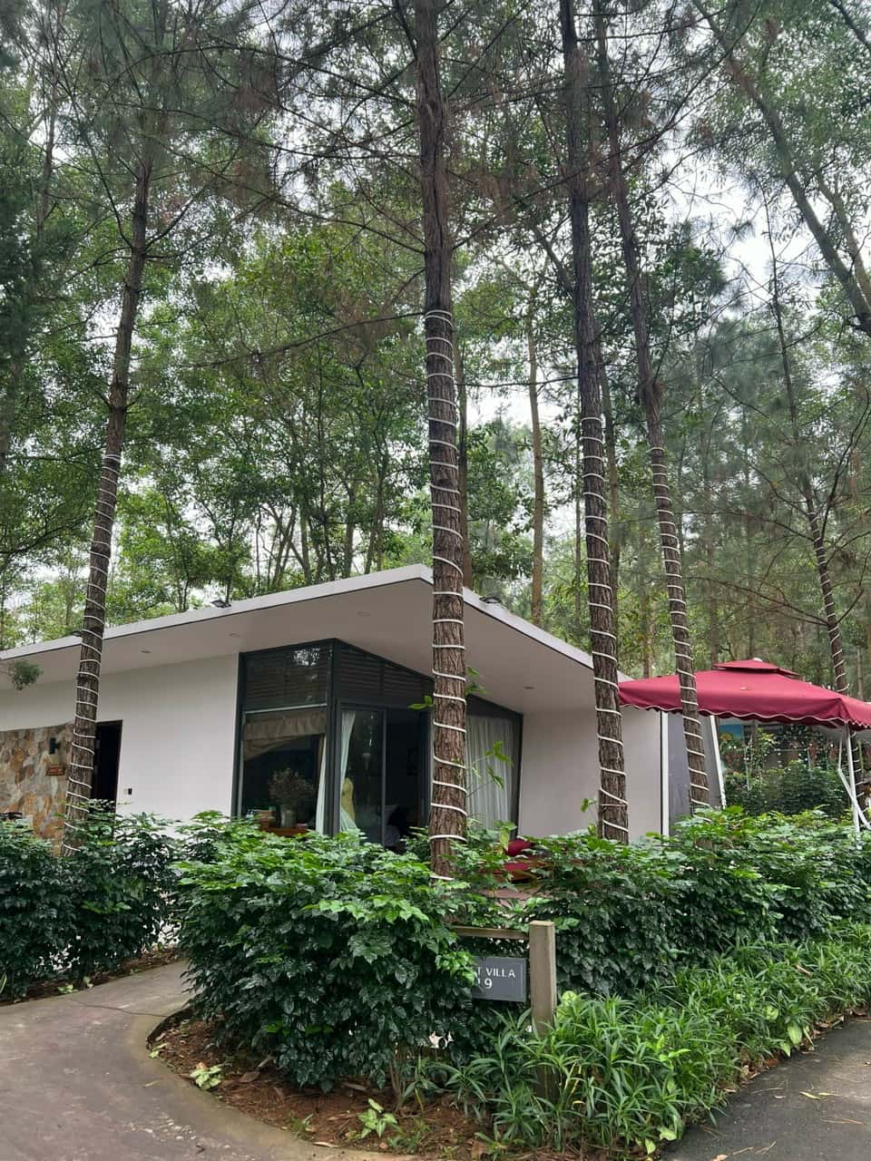 Villa R319, Flamingo Đại Lải — photo 6