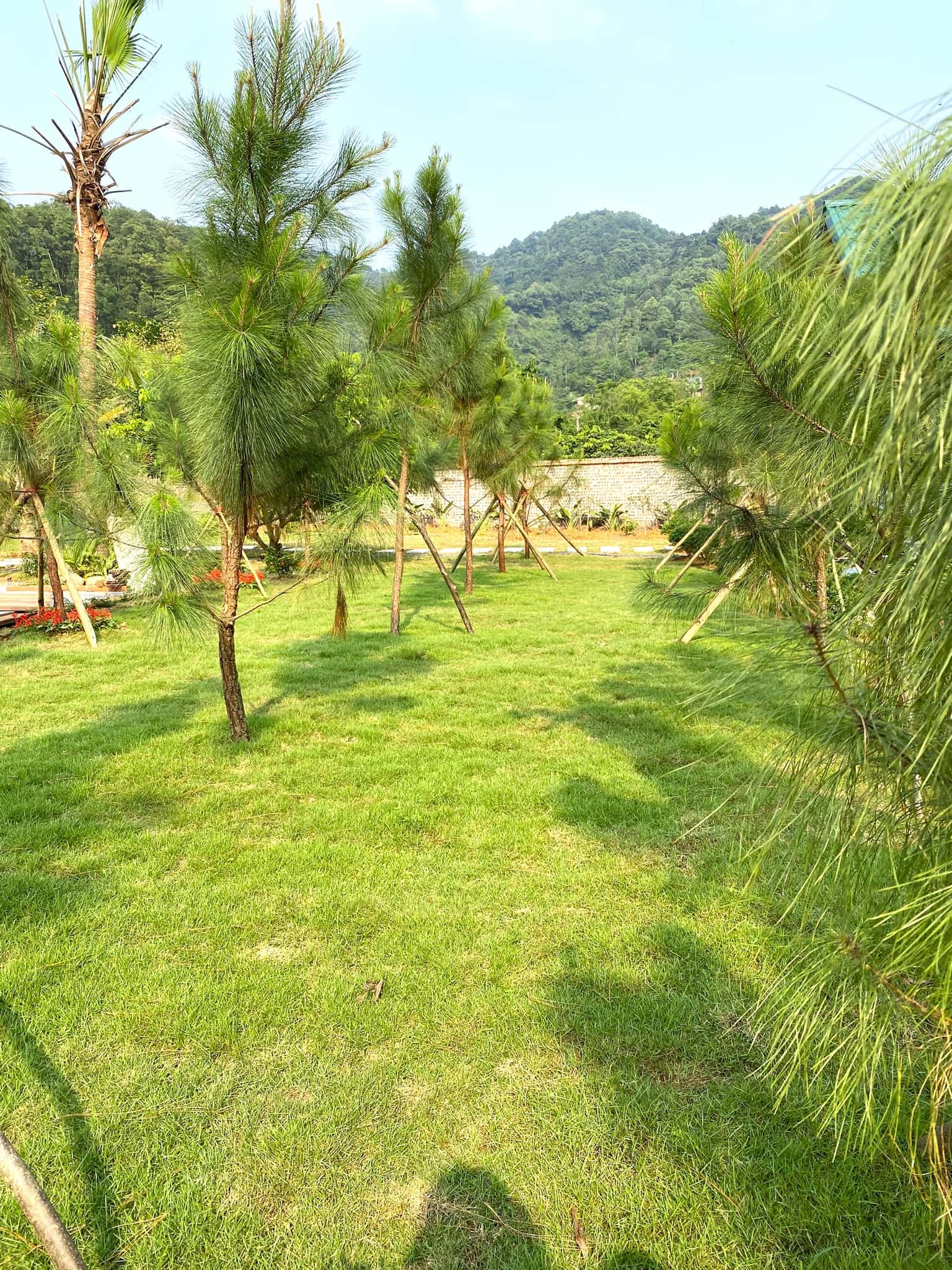 Olala Home Nguyên Khu tại Minh Trí, Sóc Sơn — ảnh 17