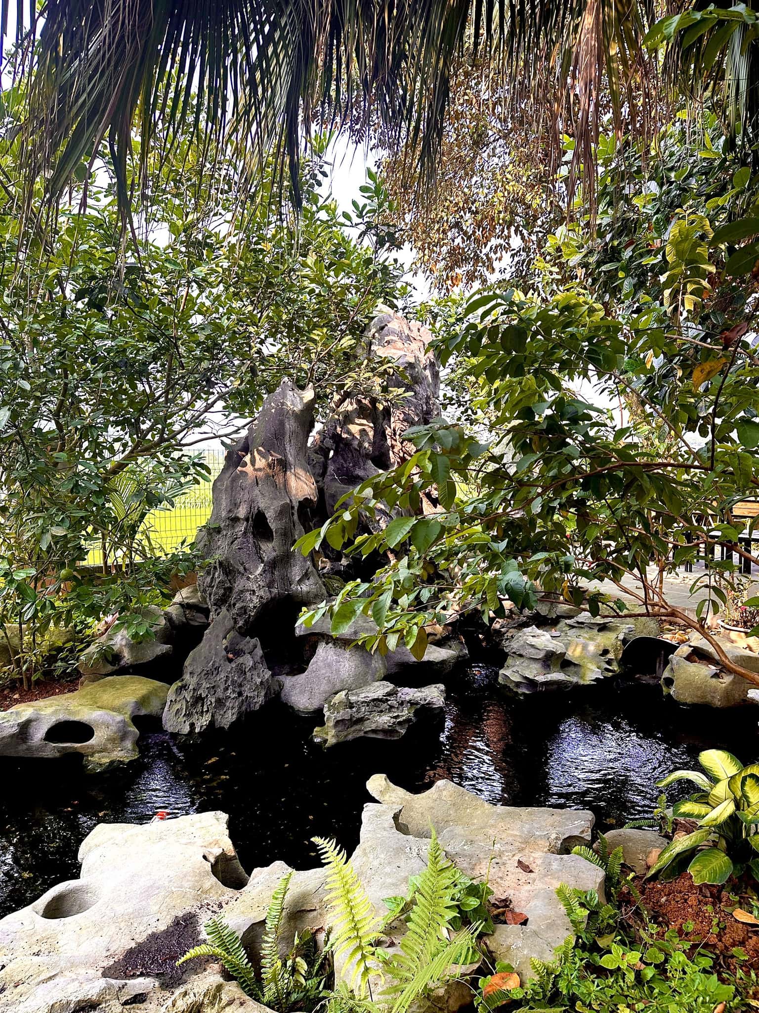 HT Villa in Suối Tiên, Ba Vì — photo 9