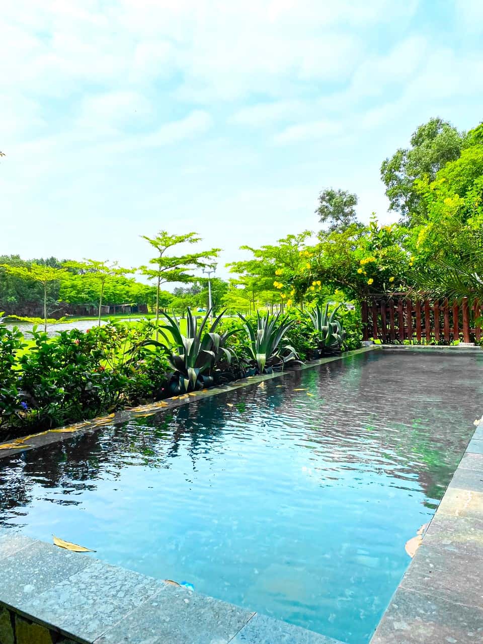 Bể bơi riêng 