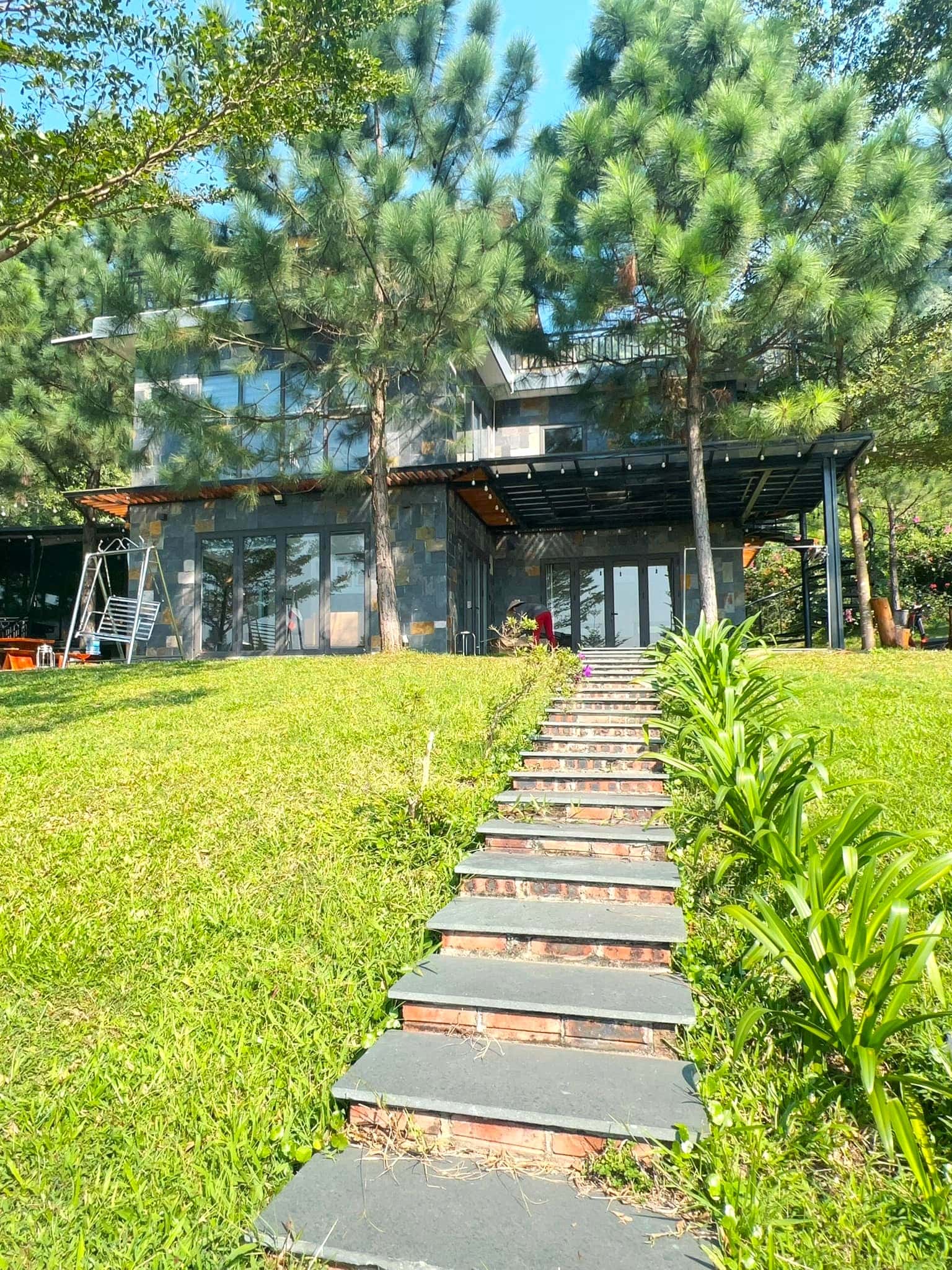 justfly pine 1 pine garden soc son