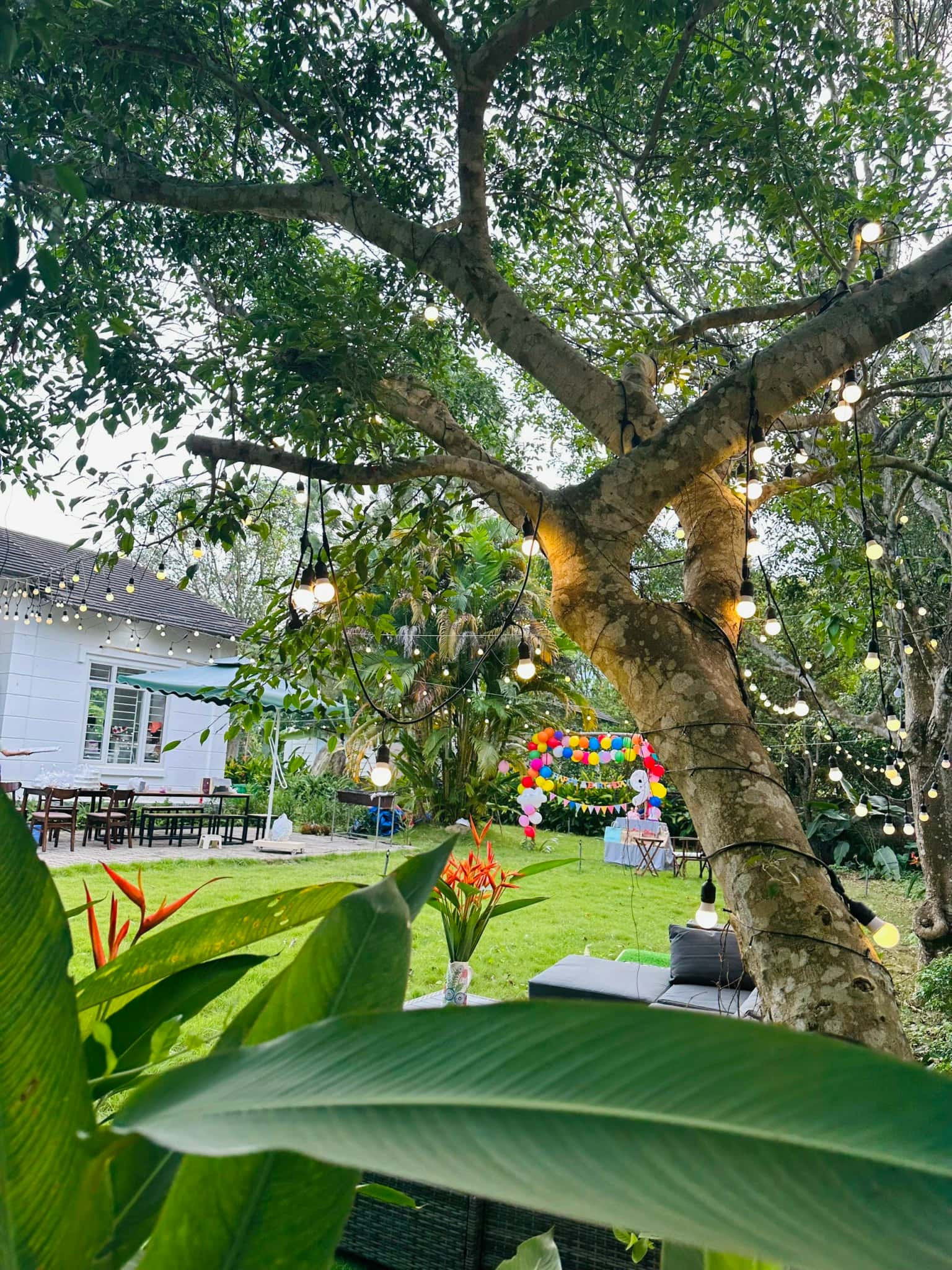 Bàn ăn ngoài trời 