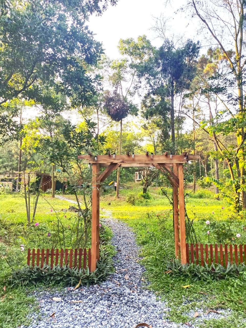 justfly mei homestay soc son