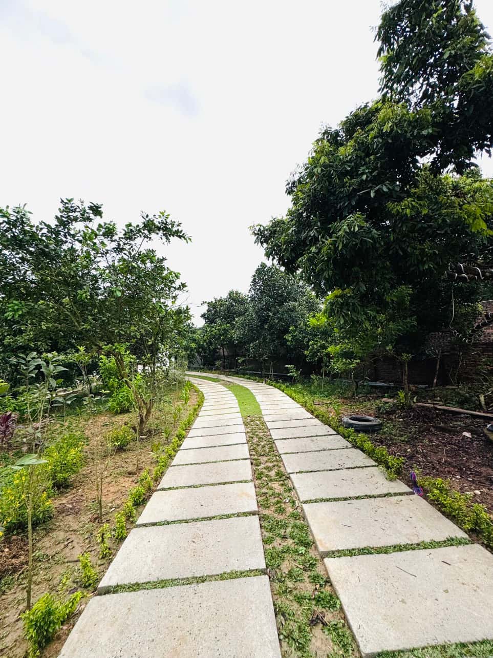 位于 Lâm Trường, Sóc Sơn 的 Palm Villa — 照片 6