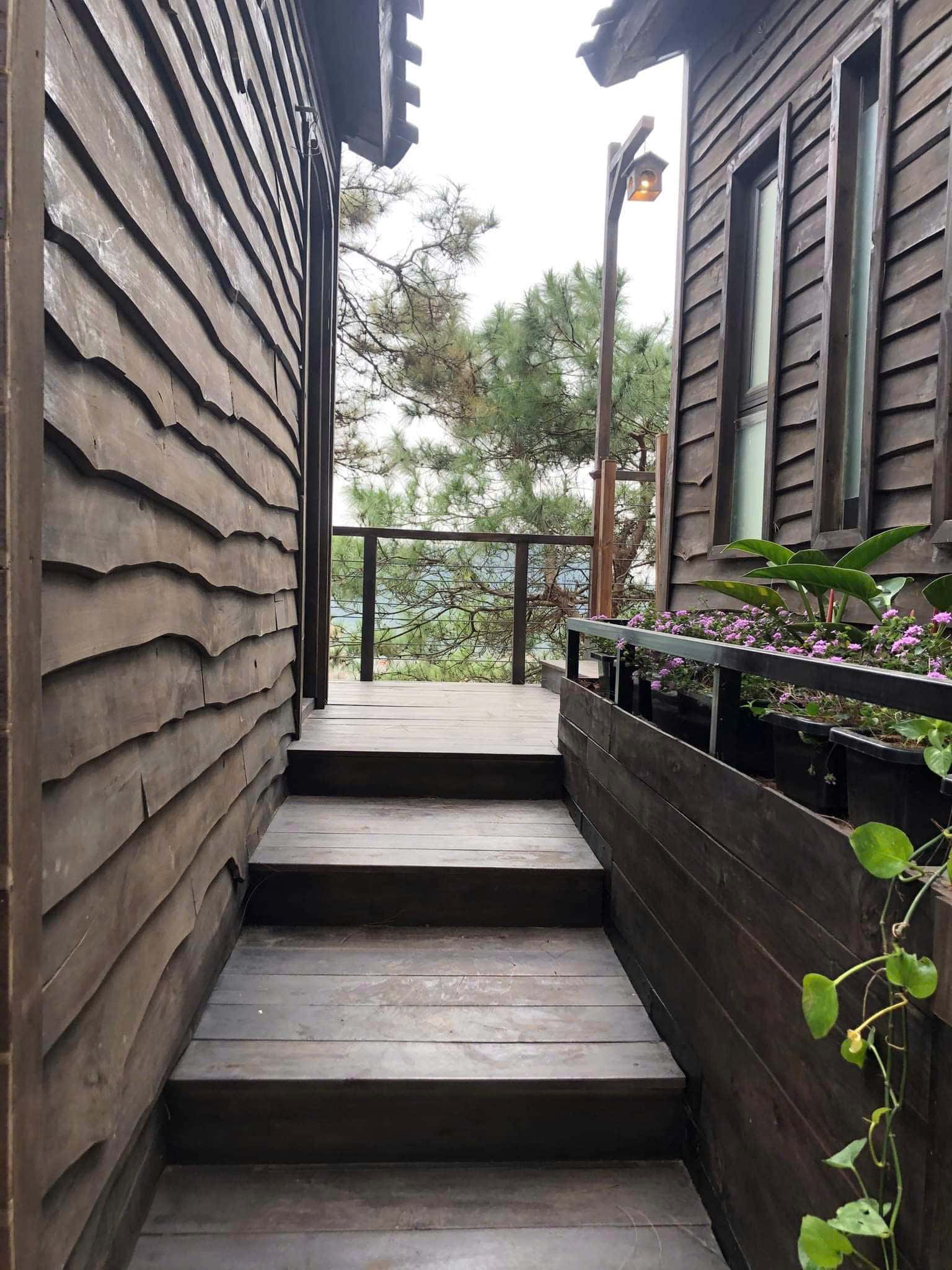Nhà Gỗ Đôi 2 (Đồi Llum) tại Minh Phú, Sóc Sơn — ảnh 22