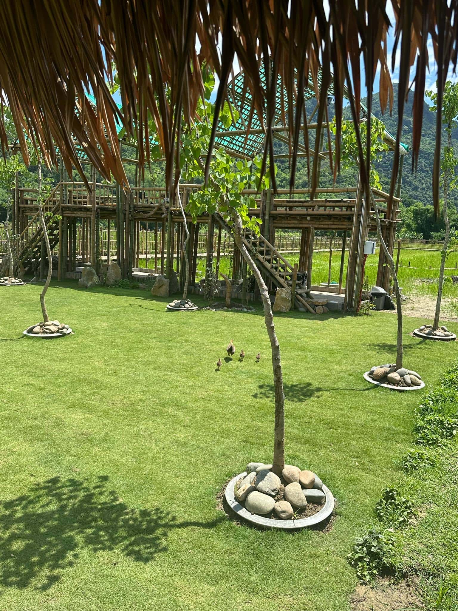 Mai Châu Farm & Coffee Shop, Hòa Bình — photo 4