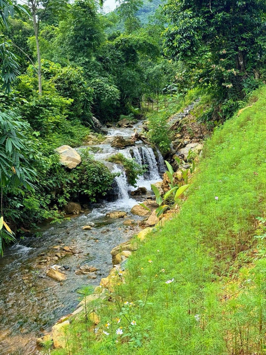 Lala Nhà Bên Suối tại Đà Bắc, Hòa Bình — ảnh 13