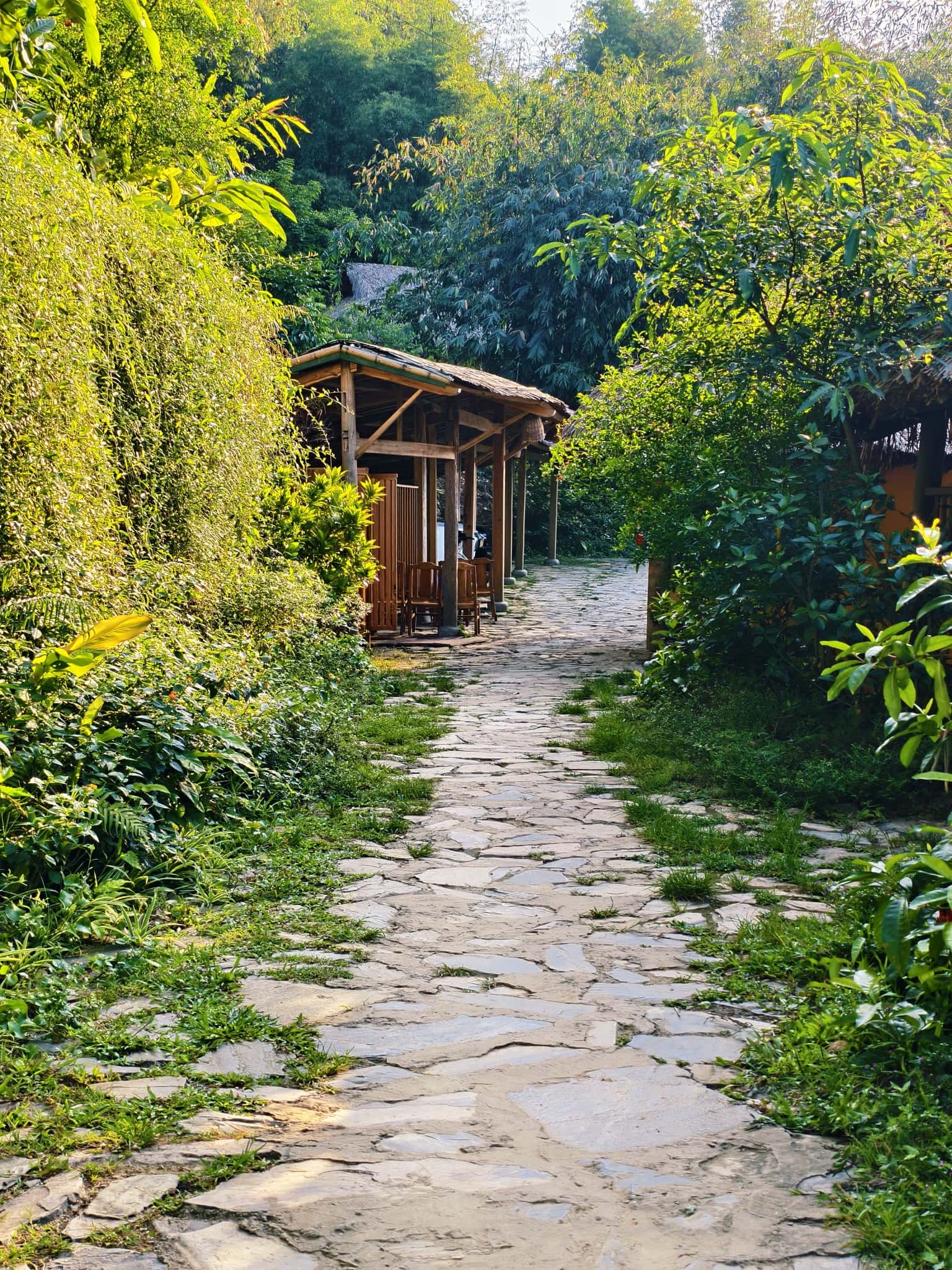Nhà Mơ (Xoan Retreat) tại Đà Bắc, Hòa Bình — ảnh 29