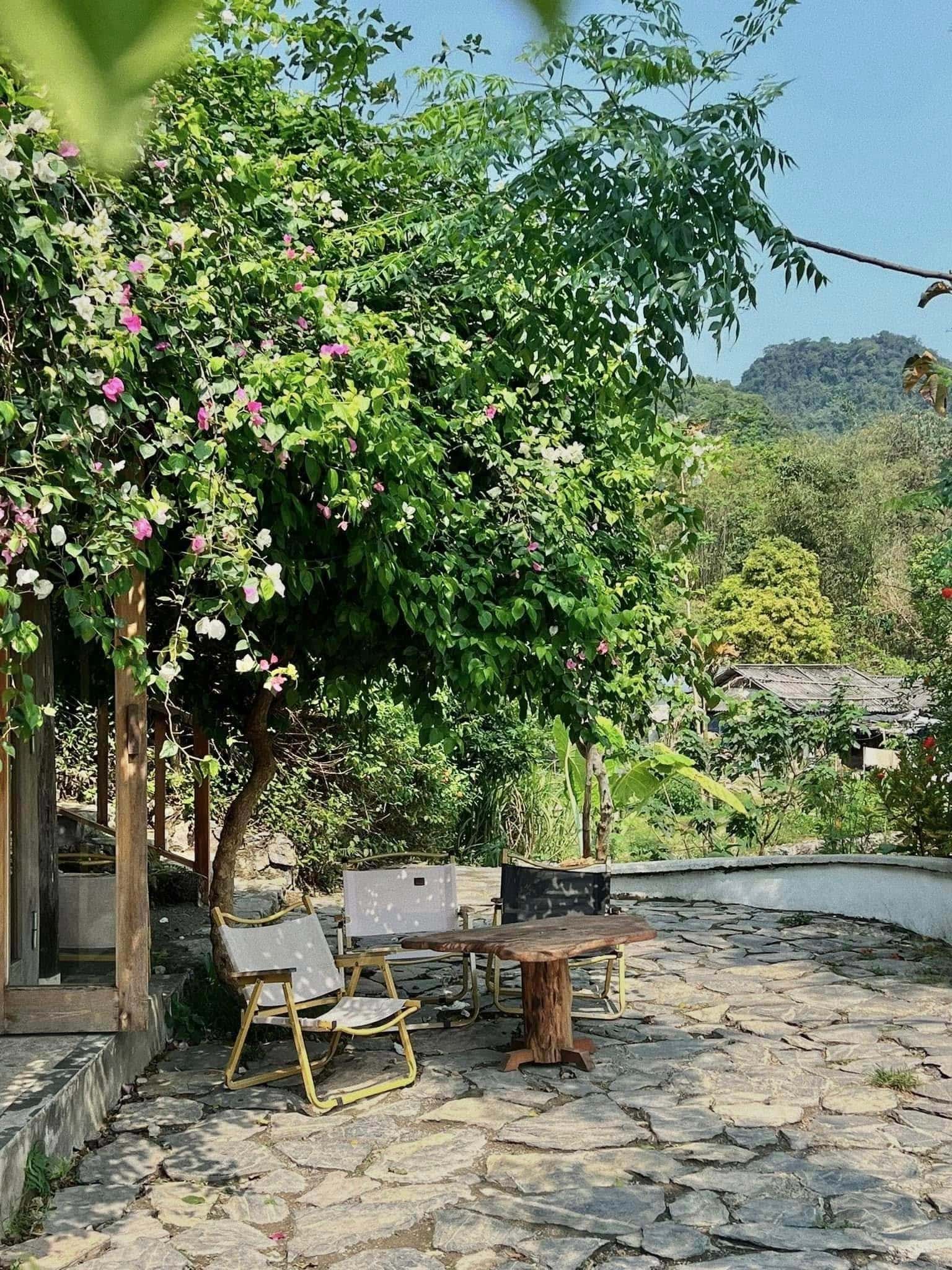 Nhà Mơ (Xoan Retreat) tại Đà Bắc, Hòa Bình — ảnh 34