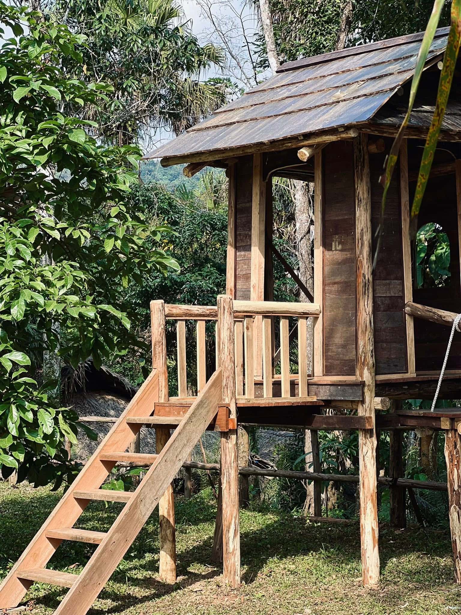 Deluxe Twin Room (Cọ Retreat) tại Đà Bắc, Hòa Bình — ảnh 29