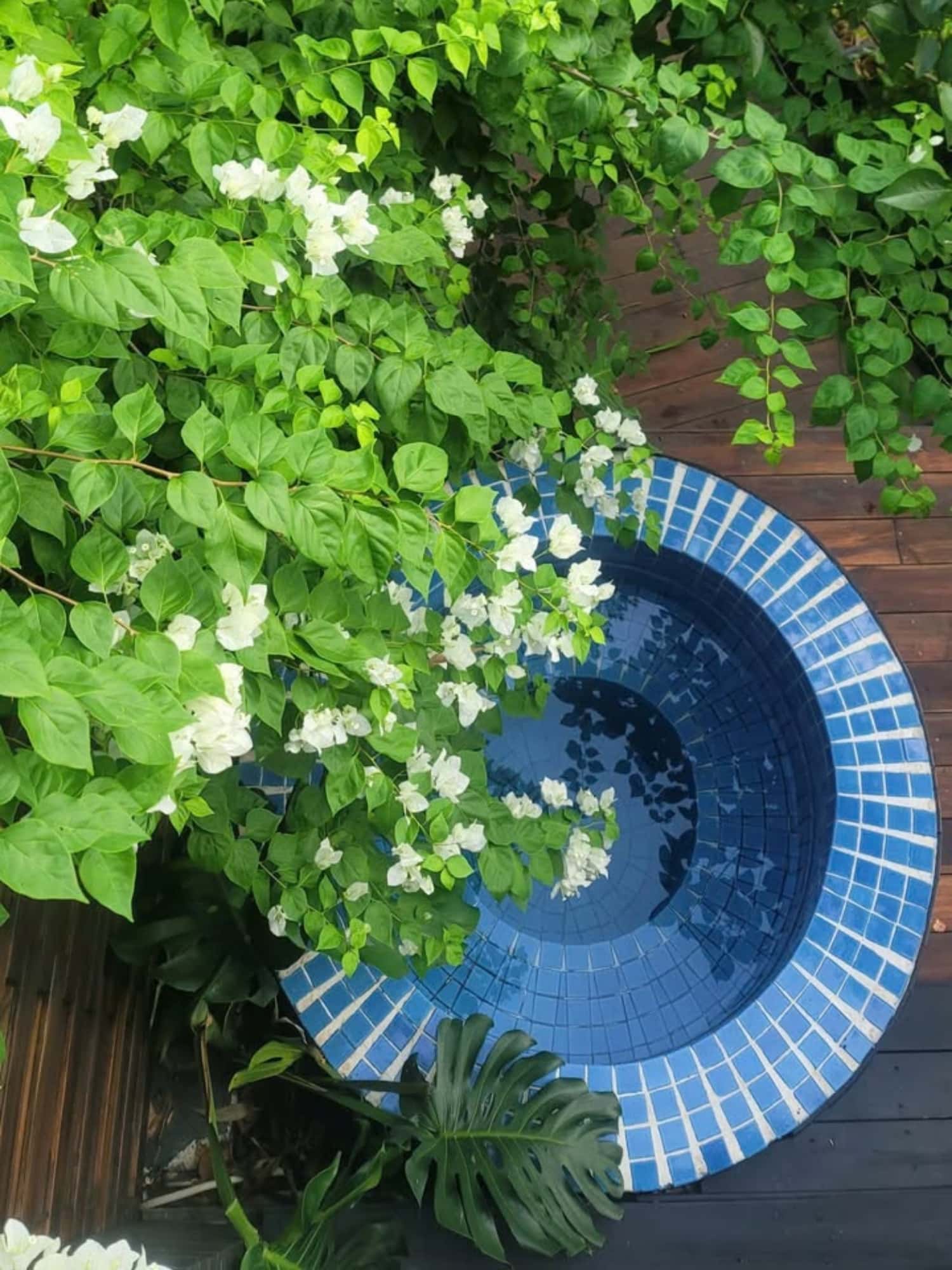 Lime Lakeside tại Lâm Trường, Sóc Sơn — ảnh 7