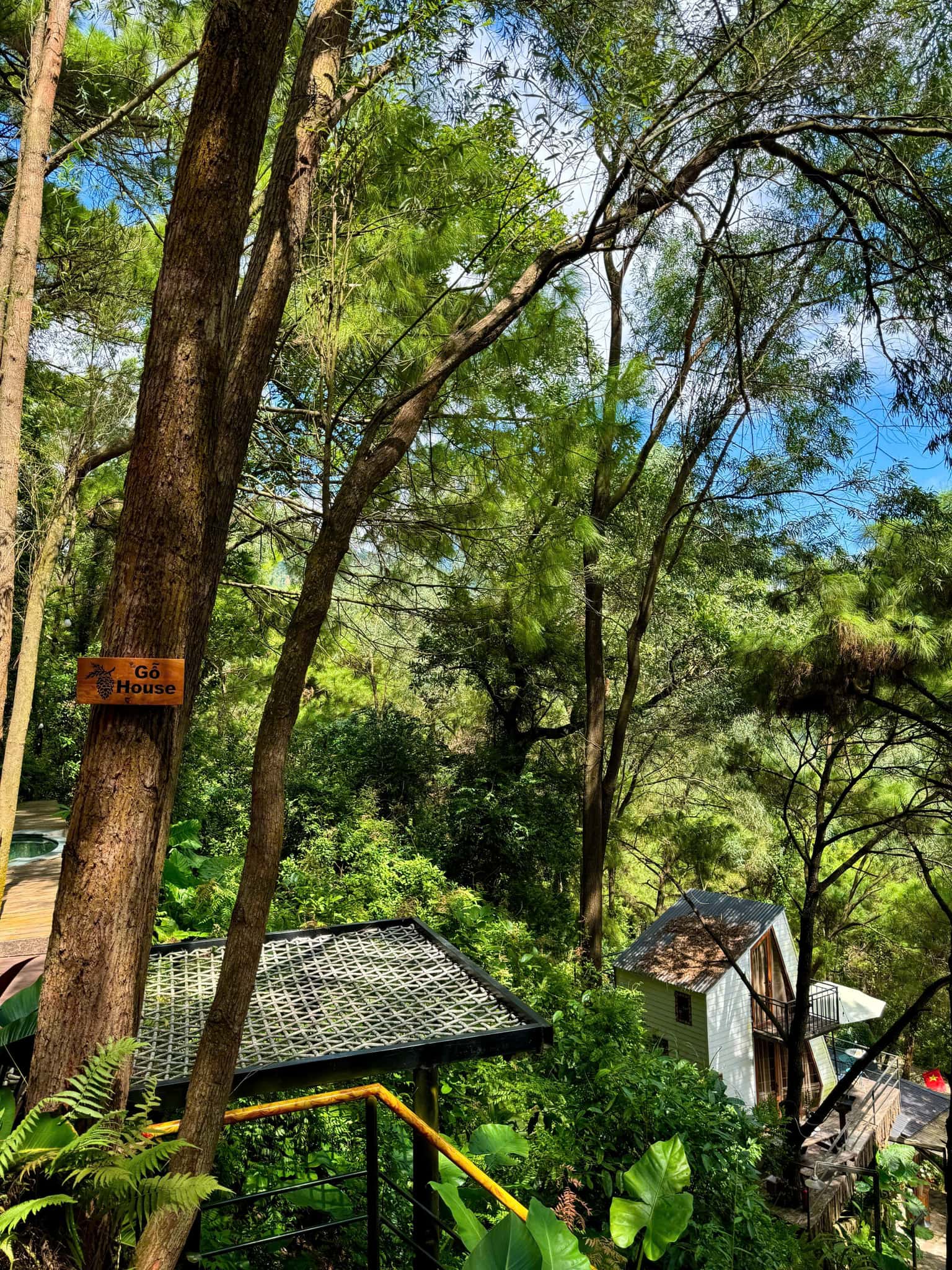 Nhà Gỗ Rừng Thông (De'bay Retreat) tại Lâm Trường, Sóc Sơn — ảnh 3