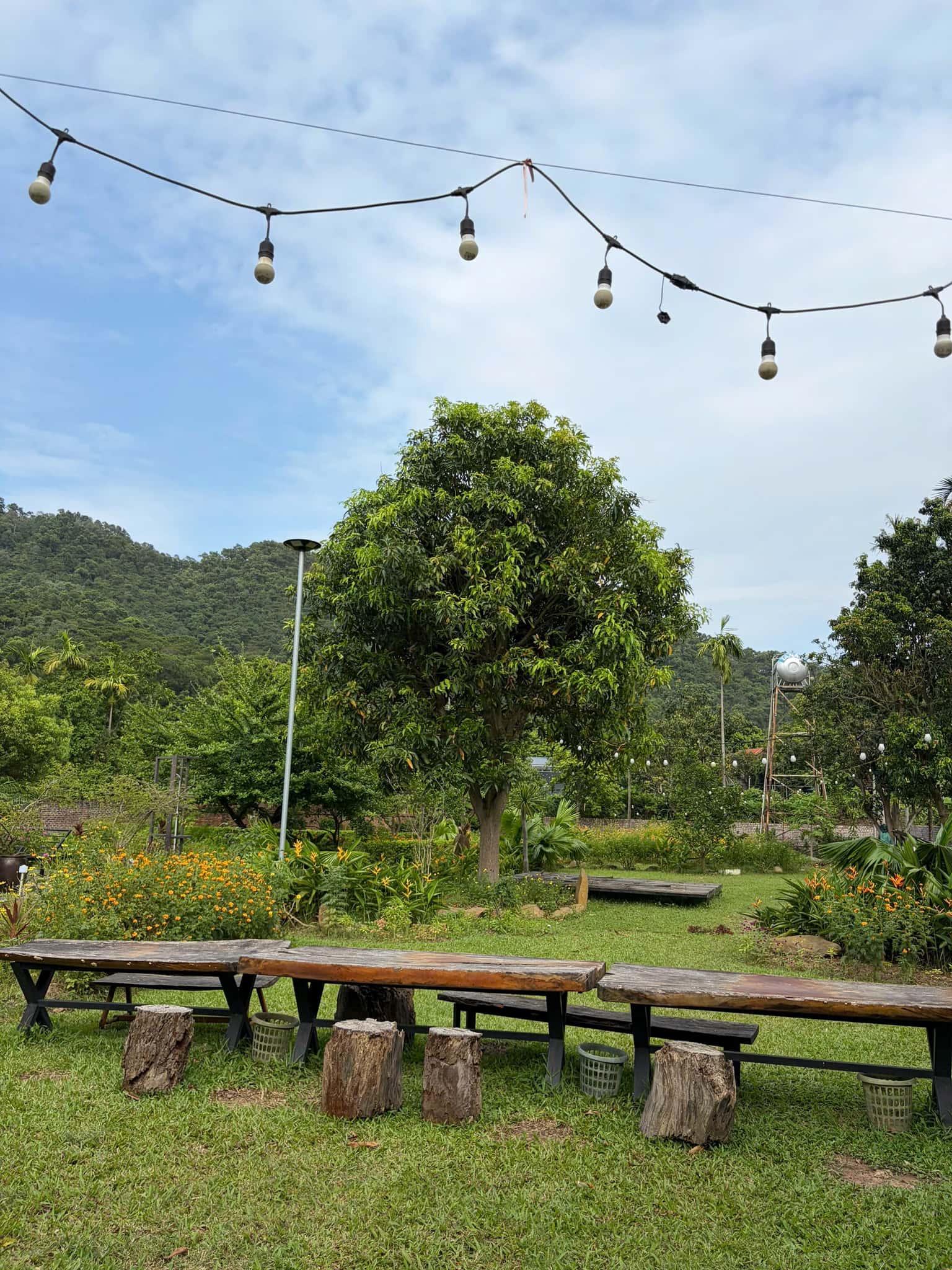 The Bright House tại Hiền Ninh, Sóc Sơn — ảnh 11