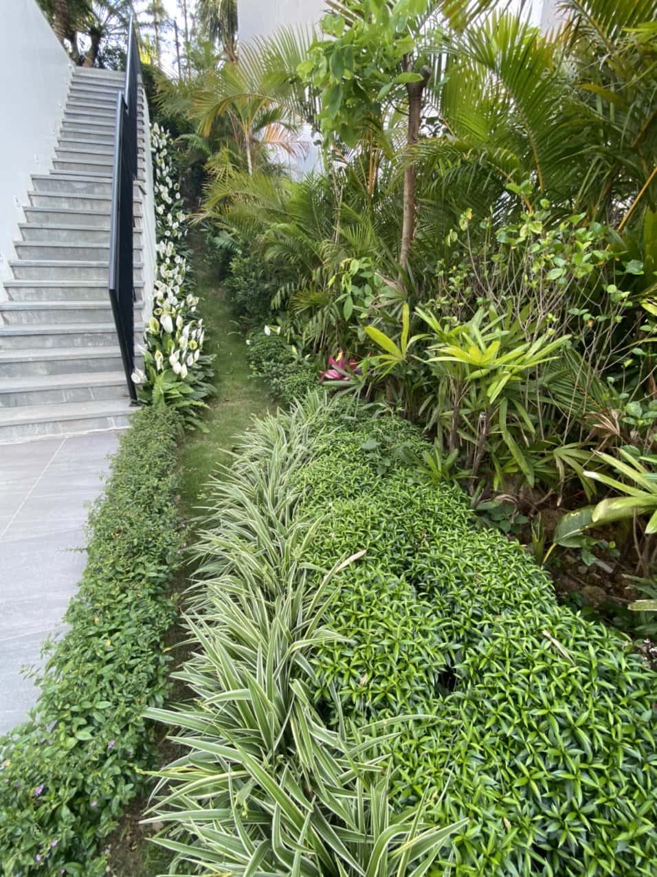 lx9 villa tam dao vinh phuc